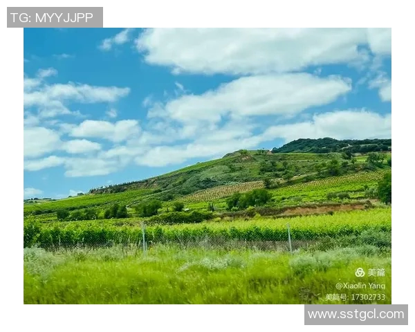 葡萄牙与绿色的碰撞:探索两者在文化与自然中的深刻联系与影响 葡萄牙与绿色的碰撞:探索两者在文化与自然中的深刻联系与影响