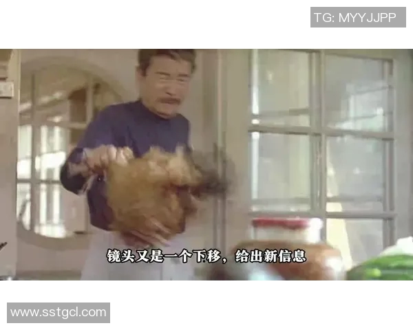 李安导演的电影艺术之路与文化交融探索:从饮食男女到卧虎藏龙的创作旅程 李安导演的电影艺术之路与文化交融探索:从饮食男女到卧虎藏龙的创作旅程