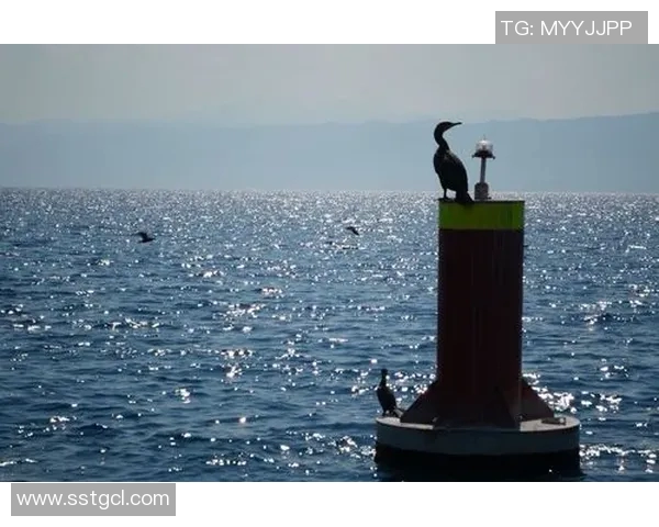 阿尔巴与奥林匹亚的巅峰对决谁将赢得这场精彩较量 阿尔巴与奥林匹亚的巅峰对决谁将赢得这场精彩较量