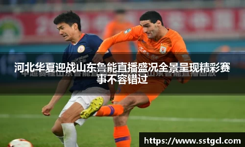 BB贝博官方网址